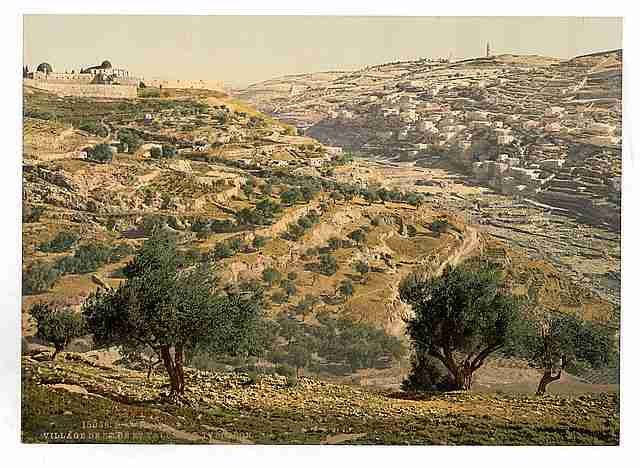 Vintage Siloam and the Tyrophean Valley Jerusalem A4 Photo Print