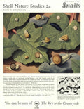 Vintage Snails Shells 1950s Vintage Retro Advert Poster