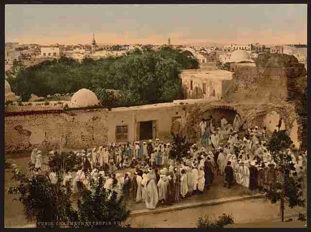 Vintage Snake charmer Tunis A4 Photo Print