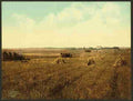 Vintage South Dakota harvest field A4 Photo Print
