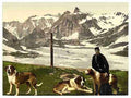 Vintage St Bernard dogs Valais Alps of A4 Photo Print
