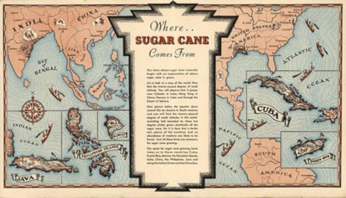 Vintage Sugar Cane Vintage Retro Advert Poster