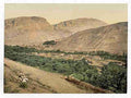 Vintage Suk Wady Barada Abila Suk Wady Barada A4 Photo Print