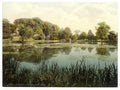 Vintage Swanbourne Lake Arundel Castle England A4 Photo Print