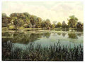 Vintage Swanbourne Lake Arundel Castle A4 Photo Print
