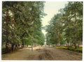 Vintage The Avenue Southampton England A4 Photo Print