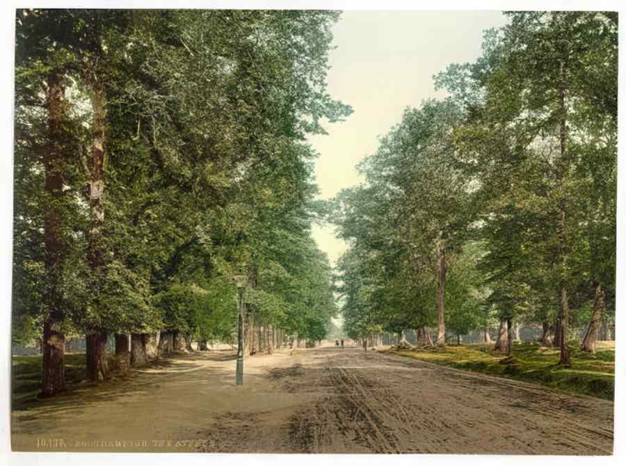 Vintage The Avenue Southampton England A4 Photo Print
