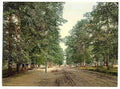 Vintage The Avenue Southampton A4 Photo Print