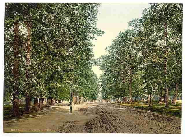 Vintage The Avenue Southampton A4 Photo Print