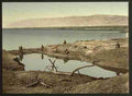 Vintage The Dead Sea II Jericho A4 Photo Print
