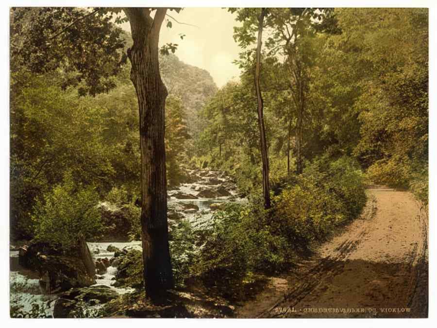 Vintage The Devil's Glen County Wicklow Ireland A4 Photo Print