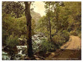 Vintage The Devils Glen County Wicklow A4 Photo Print