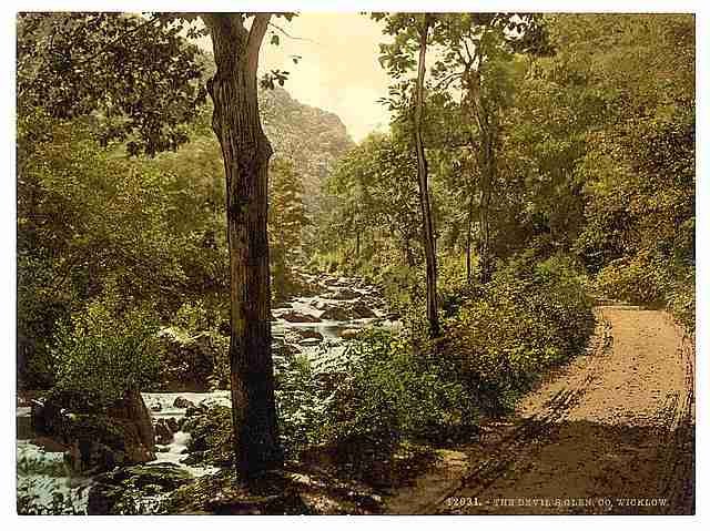 Vintage The Devils Glen County Wicklow A4 Photo Print