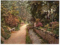 Vintage The Dingle Colwyn Bay A4 Photo Print