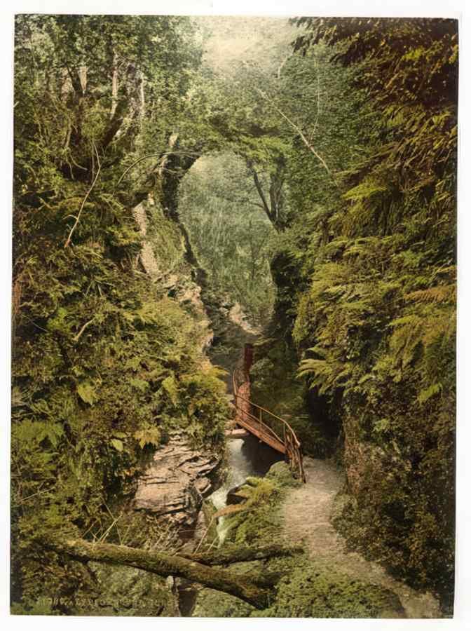 Vintage The Gorge Lydford England A4 Photo Print