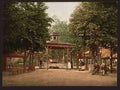Vintage The Lardy Spring Vichy A4 Photo Print