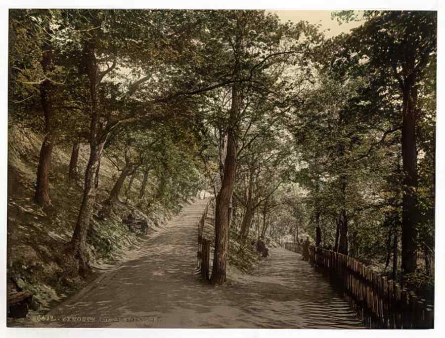 Vintage The Plantation Exmouth England A4 Photo Print