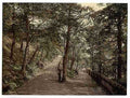 Vintage The Plantation Exmouth A4 Photo Print