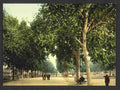 Vintage The Promenade Montpelier A4 Photo Print