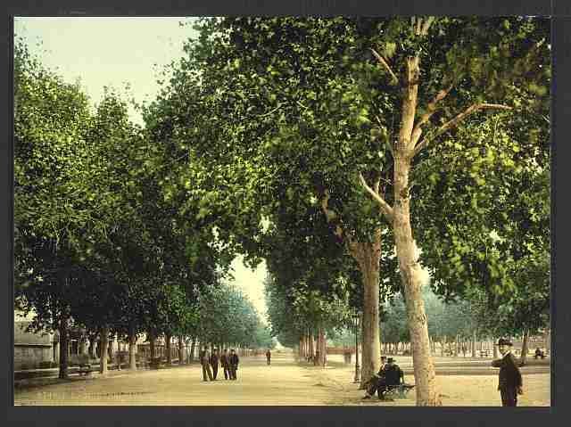 Vintage The Promenade Montpelier A4 Photo Print