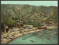 Vintage The beach at Avalon Santa Catalina Island Cal A4 Photo Print