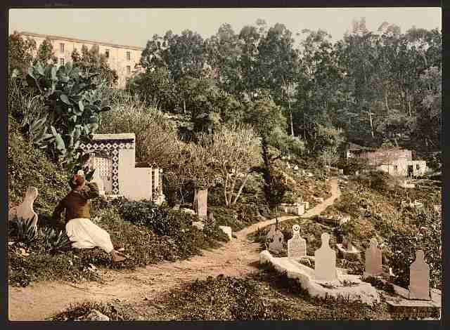 Vintage The cemetery Algiers A4 Photo Print