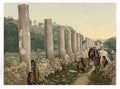 Vintage The colonnade Samaria A4 Photo Print