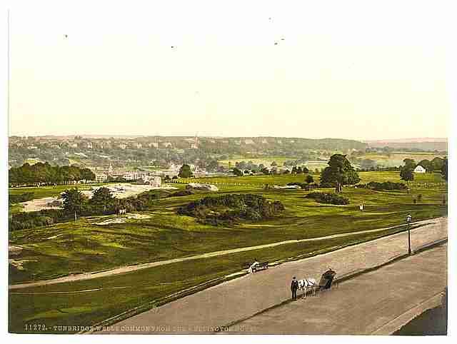Vintage The common I Tunbridge Wells A4 Photo Print