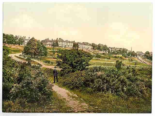 Vintage The common II Tunbridge Wells A4 Photo Print