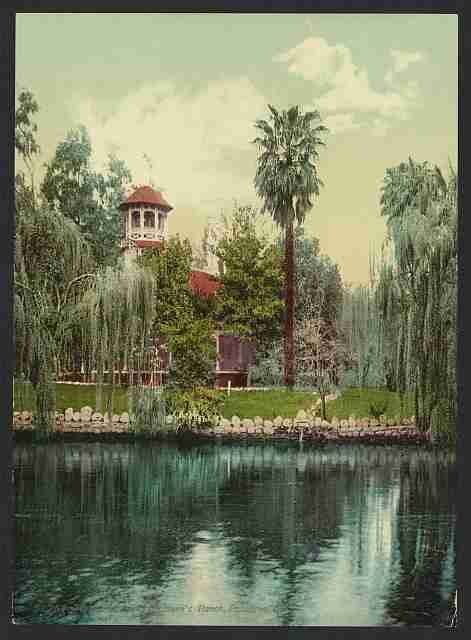 Vintage The lake Lucky Baldwins ranch Pasadena Cal A4 Photo Print