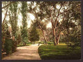 Vintage The park Vichy A4 Photo Print