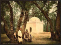 Vintage The sacred wood Blidah A4 Photo Print