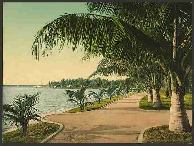 Vintage The walk at Palm Beach A4 Photo Print