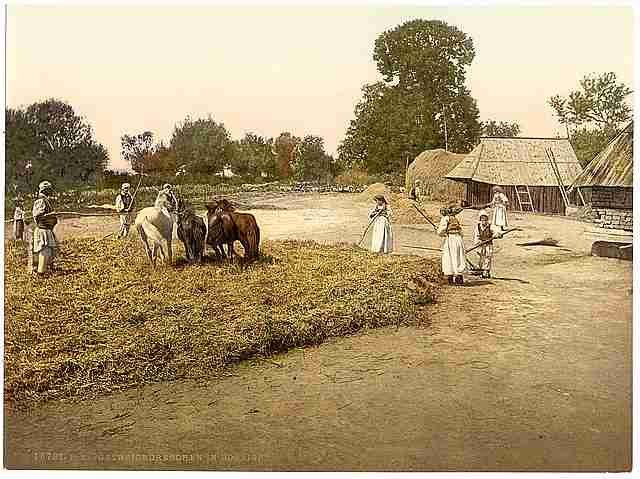 Vintage Threshing grain Bosnia A4 Photo Print