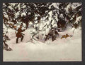 Vintage Trapping lynx A4 Photo Print