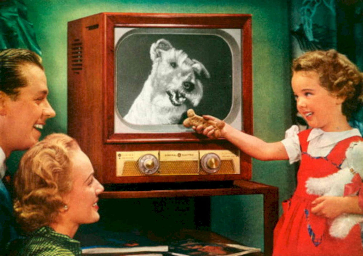 Vintage Tv Dog 1950s Vintage Retro Advert Poster
