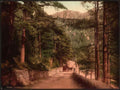 Vintage View I Aberglaslyn Pass Wales A4 Photo Print