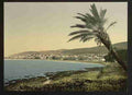 Vintage View from near foot of Mount Carmel Chaifa A4 Photo Print