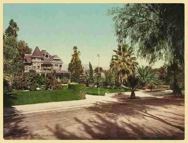 Vintage View on Palm Avenue Riverside A4 Photo Print