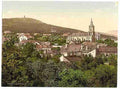 Vintage Voeslau  Vienna A4 Photo Print
