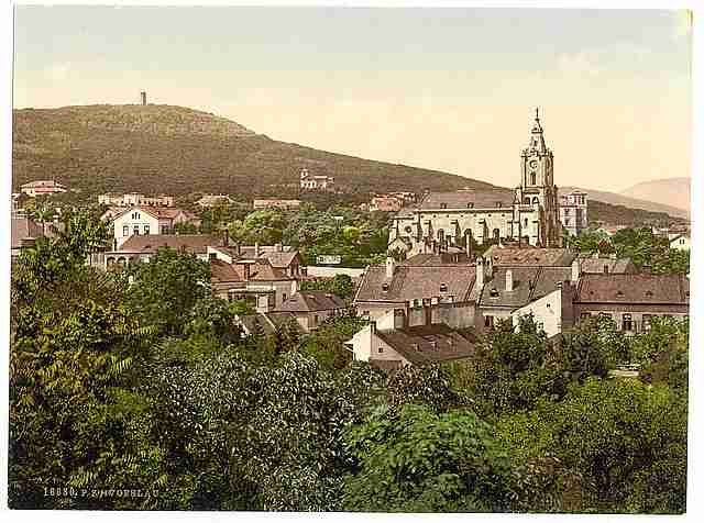 Vintage Voeslau  Vienna A4 Photo Print