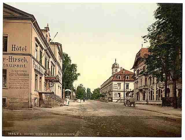 Vintage Weisser Hirsch Saxony A4 Photo Print