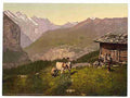 Vintage Wengern Alp Bernese Oberland A4 Photo Print