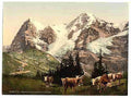 Vintage Wengern Monch and Eiger Bernese Oberland A4 Photo Print