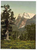 Vintage Wetterhorn general view Bernese Oberland A4 Photo Print
