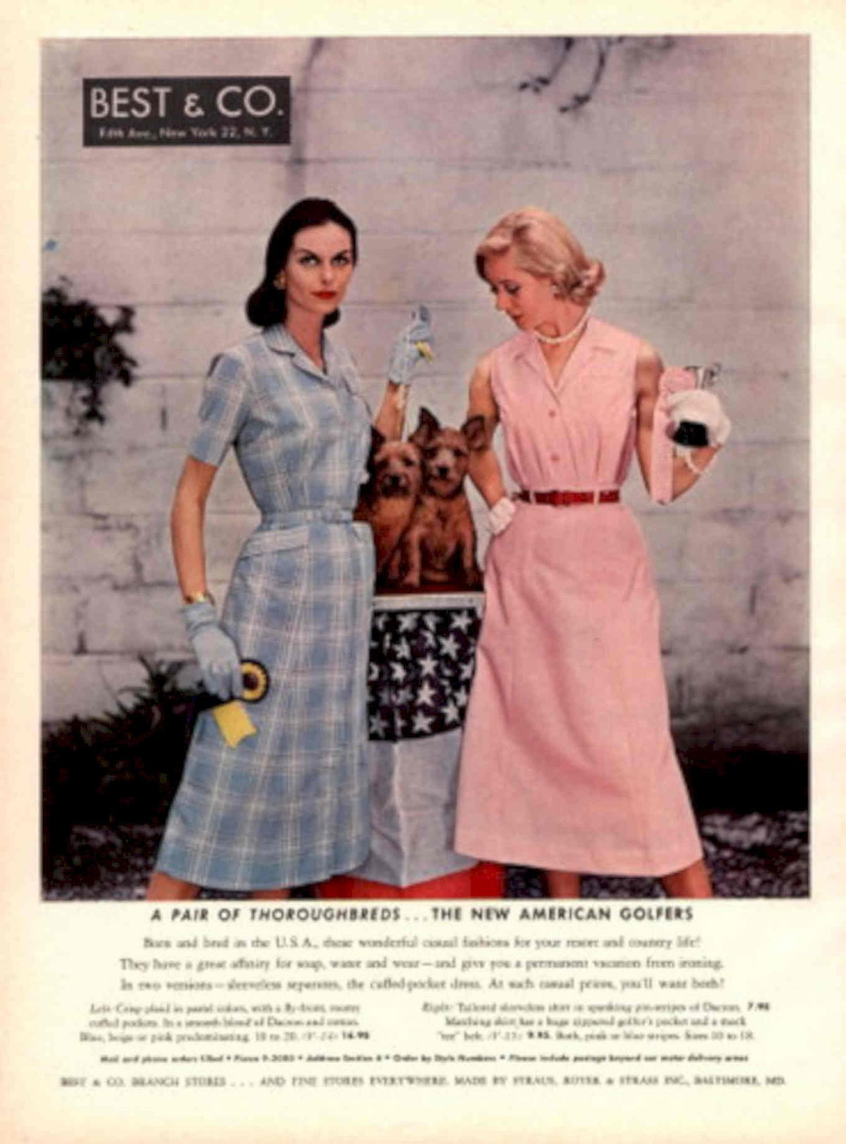 Vintage Women Dogs 1950s Vintage Retro Advert Poster