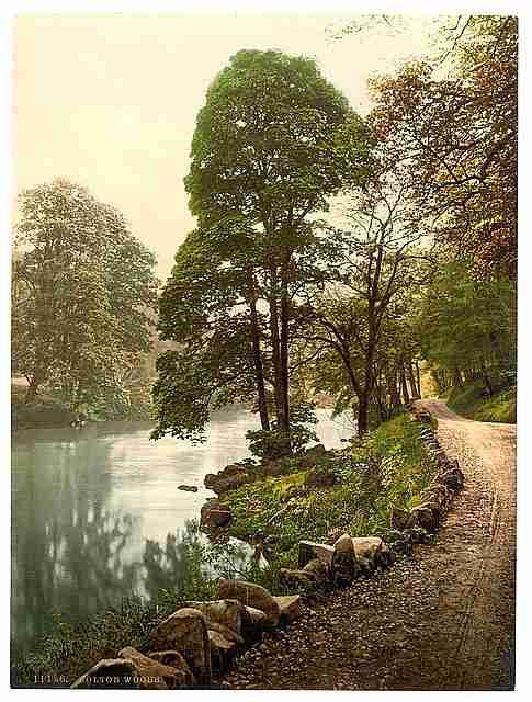 Vintage Woods Bolton A4 Photo Print