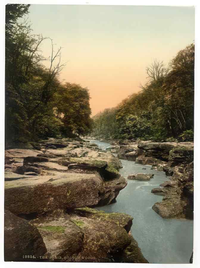 Vintage Woods The Strid Bolton Abbey England A4 Photo Print
