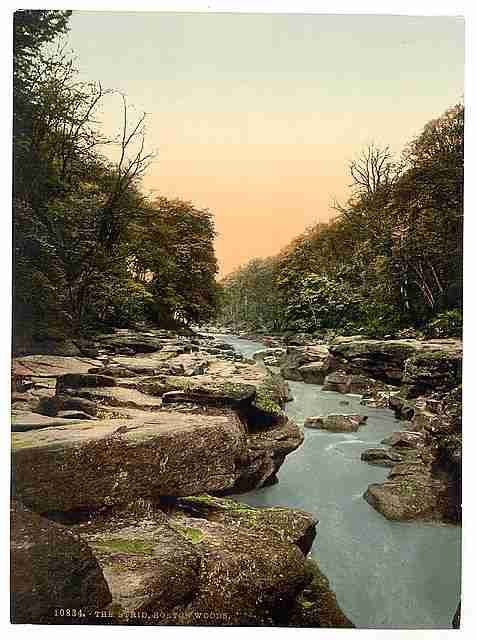 Vintage Woods the Strid Bolton A4 Photo Print