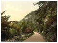 Vintage Wyndcliff Chepstow A4 Photo Print